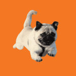 Brand logo for external website's link